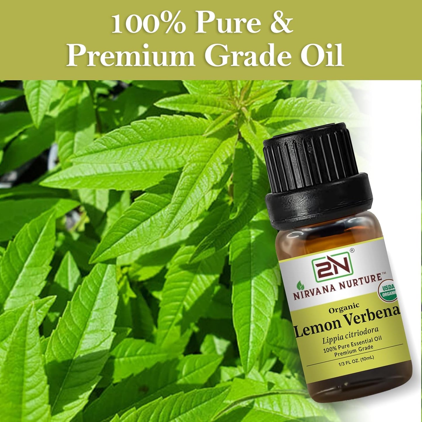 Lemon Verbena Essential Oil, USDA Certified Organic, 100% Pure Undiluted, Aromatherapy Oil for Diffuser, Hair & Skin Care