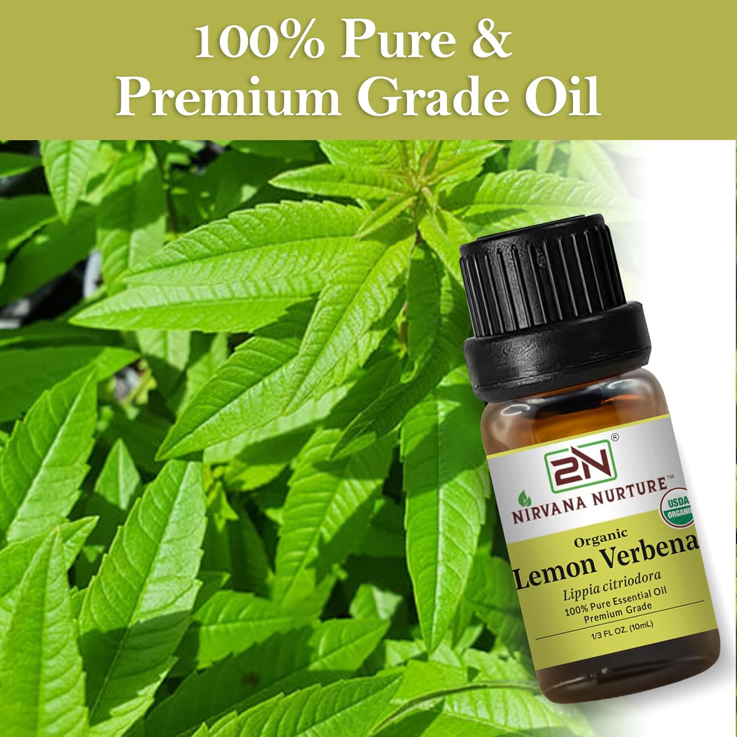 Lemon Verbena Essential Oil, USDA Certified Organic, 100% Pure Undiluted, Aromatherapy Oil for Diffuser, Hair & Skin Care