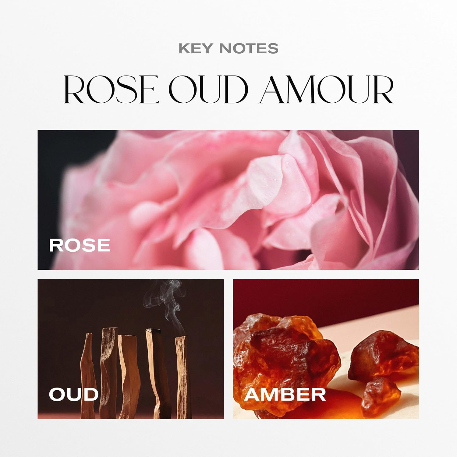 Rose Oud Amour Luxury Scented Candle for Women & Men | 8.5 oz Hand-Poured Coconut Wax Blend | Modern Self-Care Aromatherapy Candle | 50 Hr Burn | Gift-Ready Glossy Glass Vessel