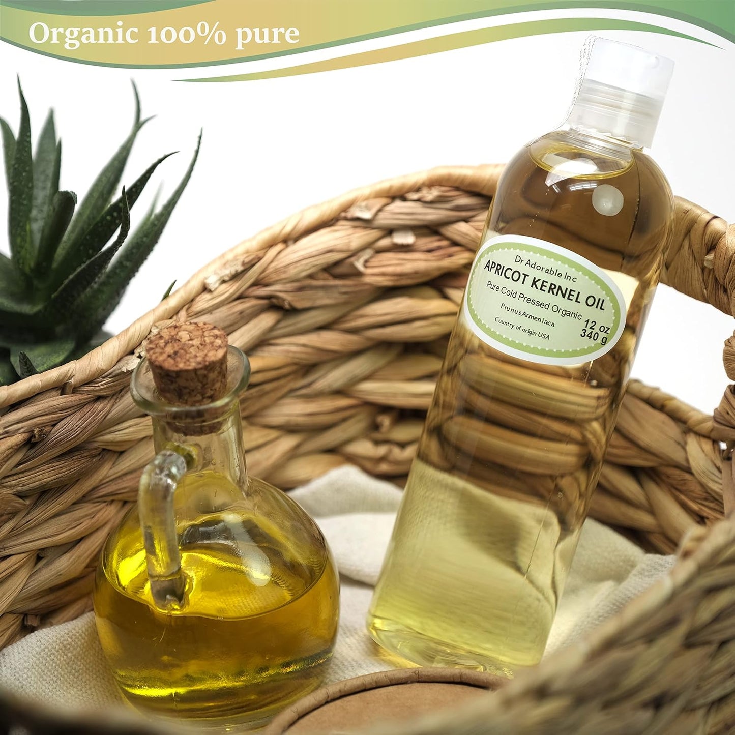 Dr Adorable - 36 Oz - Apricot Kernel Oil - 100% Pure Natural Organic Cold Pressed (3 of 12 Oz bottles)