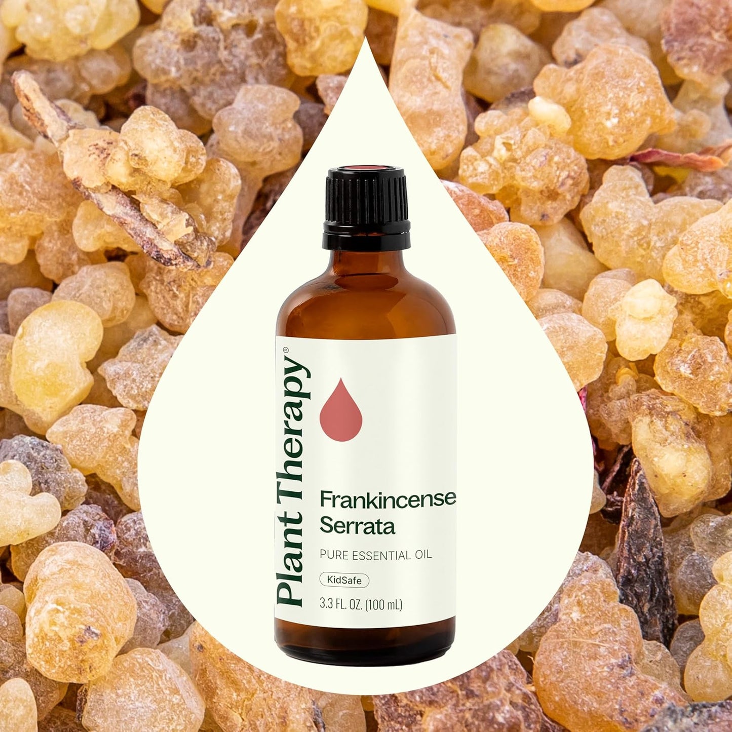 Plant Therapy Frankincense Serrata Essential Oil 100 mL (3.3 oz) 100% Pure, Undiluted, Grounding Aromatherapy and Soothing Skin Care
