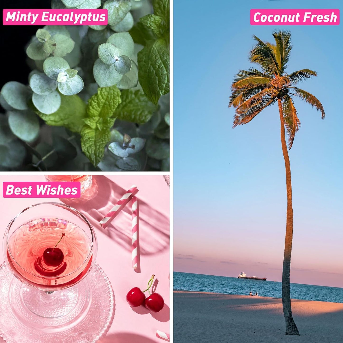 Fragrance Oils, ESSLUX Bath & Body Scented Essential Oils for Diffusers for Home, Premium Soap Candle Making Scents, Aromatherapy Oils Gift Set,10ml*6 - Coconut Fresh, Minty Eucalyptus, and More