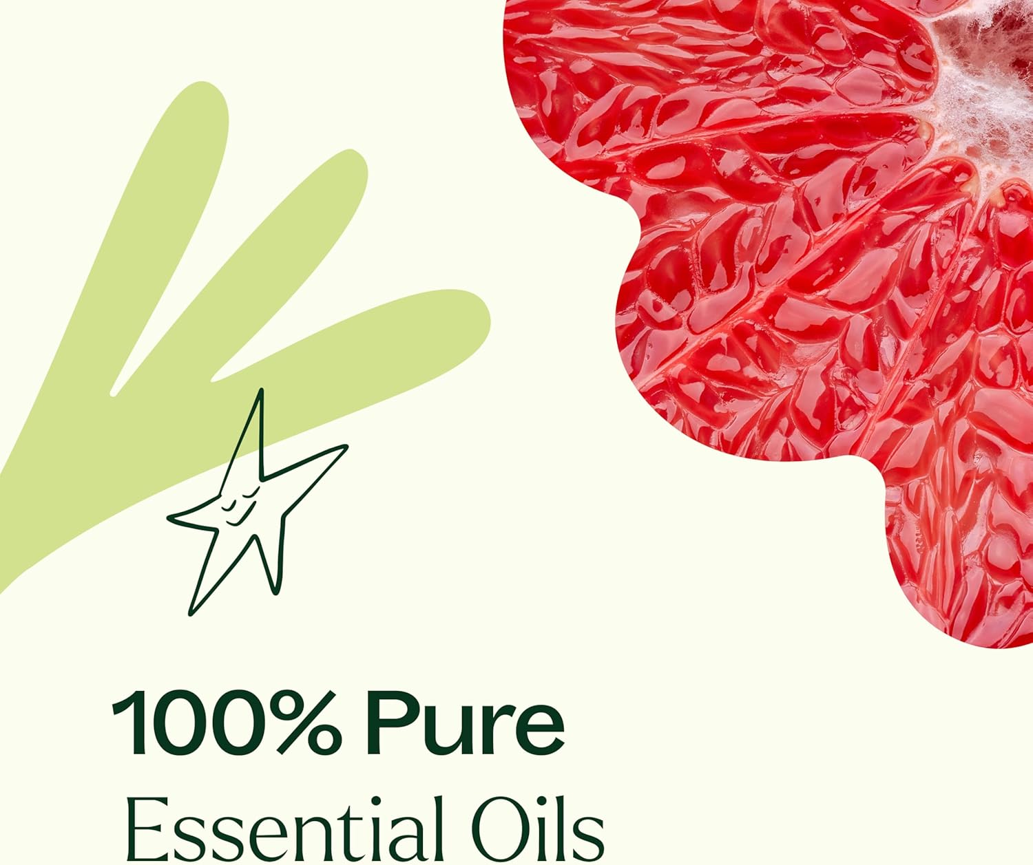 Plant Therapy Be Confident Essential Oil Blend 10 mL (1/3 oz) 100% Pure Essential Oils, Undiluted, Great for Diffusing or DIYs, Boost Confidence