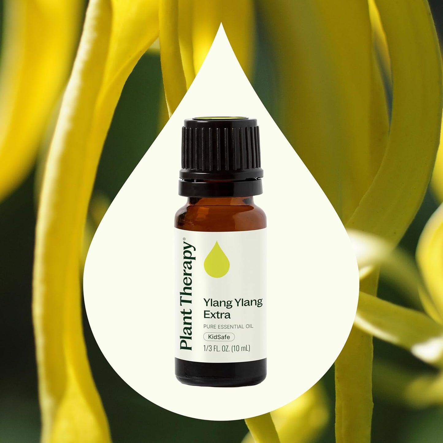 Plant Therapy Ylang Ylang Extra Essential Oil 10 mL (1/3 oz) 100% Pure, Undiluted, for Calming Aromatherapy, Romantic Gift