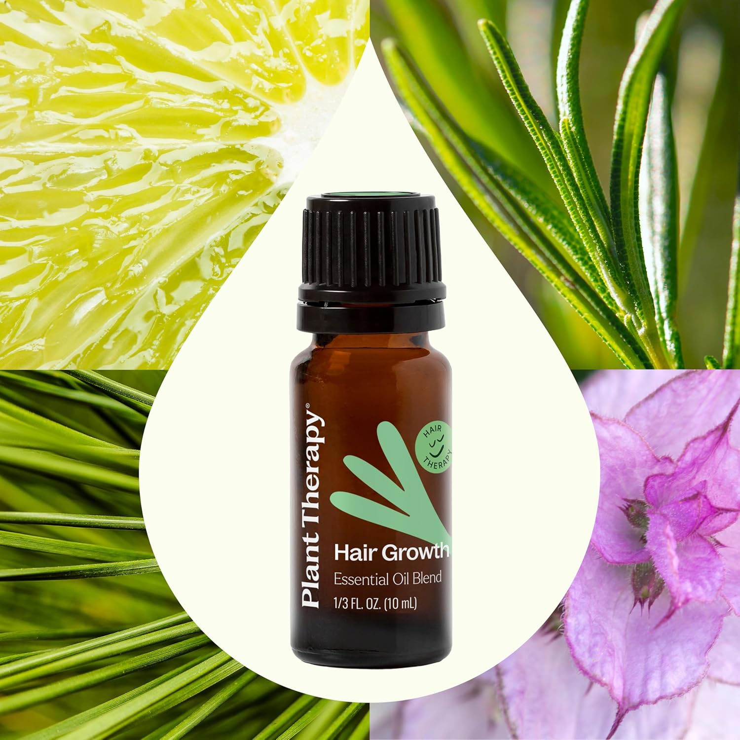 Plant Therapy Hair Therapy Essential Oil Blend 10 mL (1/3 oz) Strengthen, Repair and Grow Hair, 100% Pure, Undiluted, Essential Oil Blend