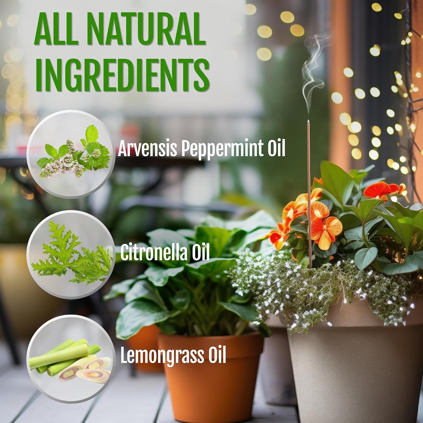 Mintronella USA Made Citronella & Peppermint Mosquito Repellent Incense Sticks – 100 Pack – Natural Bug & Insect Repellent – Outdoor Camping, Patio Decor – No‑See‑Um & Gnats, Fly