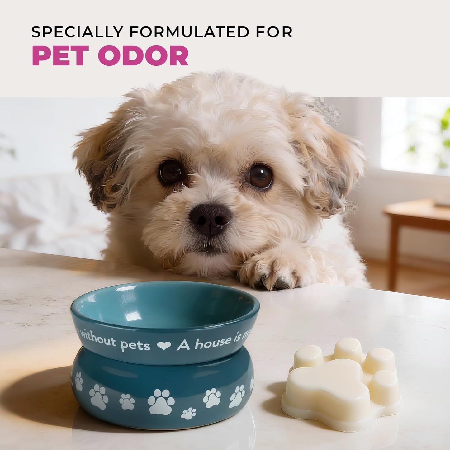 Pet House Wildflowers Scented Wax Melts - Long-Lasting Plant Based/Summer Soy Wax Melts for Pet Odor Pack of 2