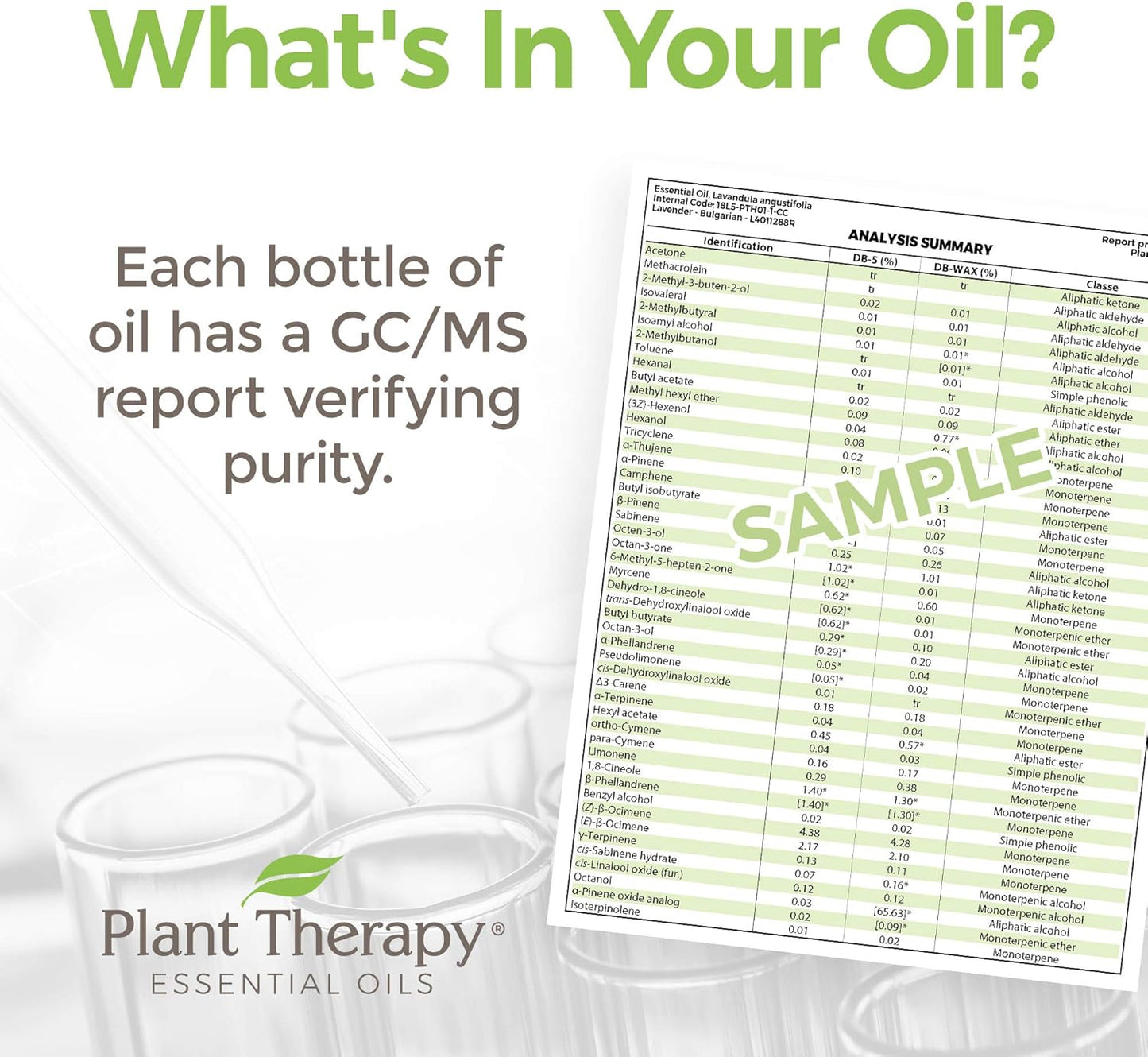 Plant Therapy Key Lime Essential Oil 10 mL (1 oz) 100% Pure, Undiluted, Natural Aromatherapy for Diffusion, is Uplifting and Energizing