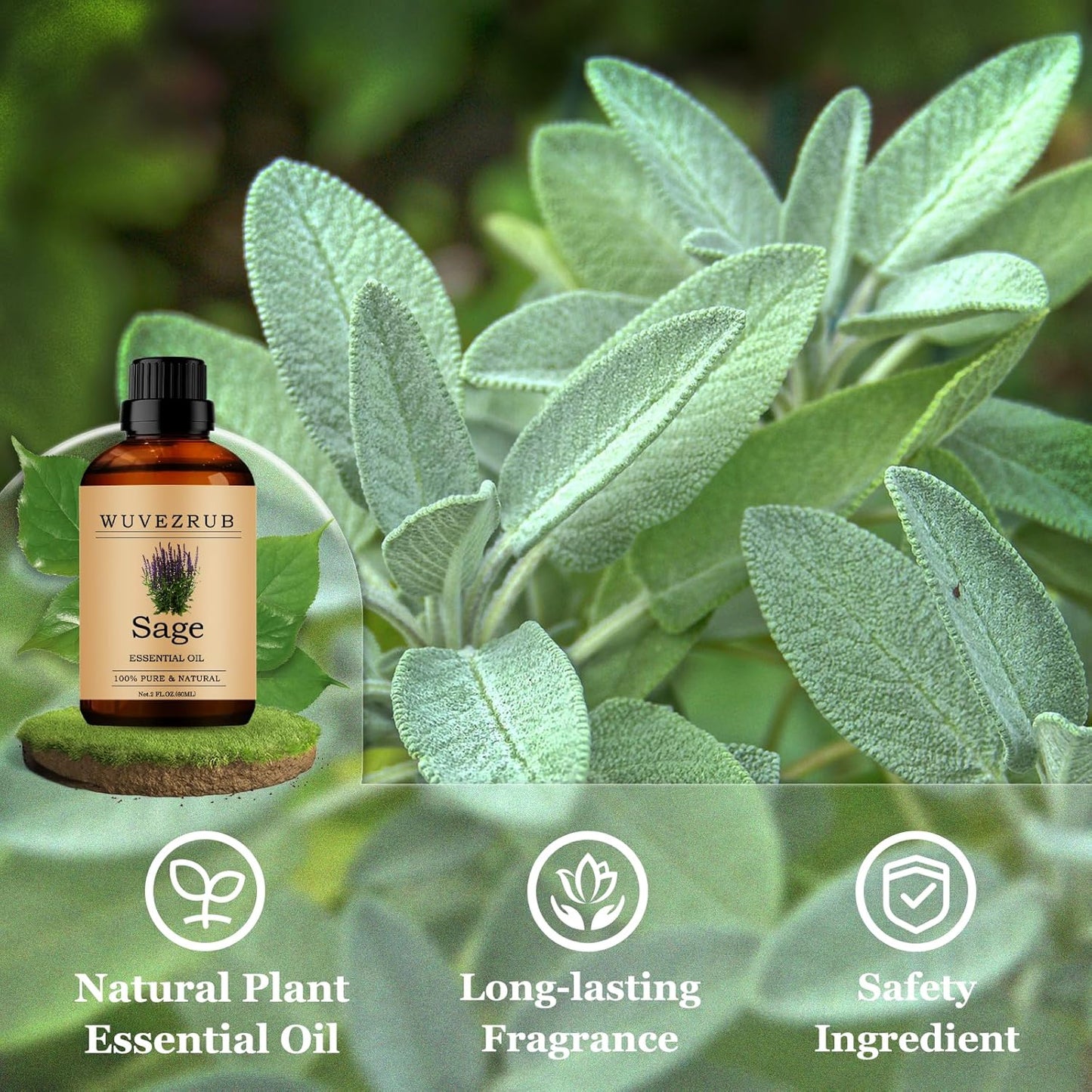 Sage Essential Oils 60ML, Pure Sage Essential Oil for Aromatherapy Diffuser - 2 Fl Oz