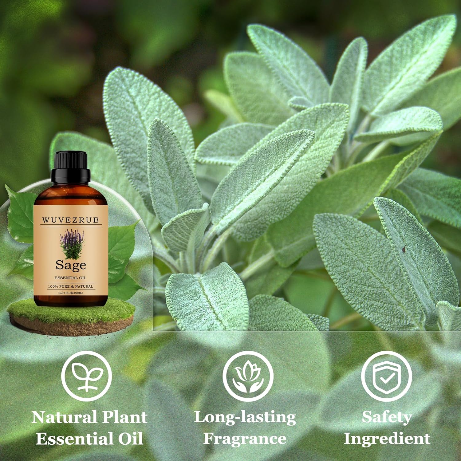Sage Essential Oils 60ML, Pure Sage Essential Oil for Aromatherapy Diffuser - 2 Fl Oz
