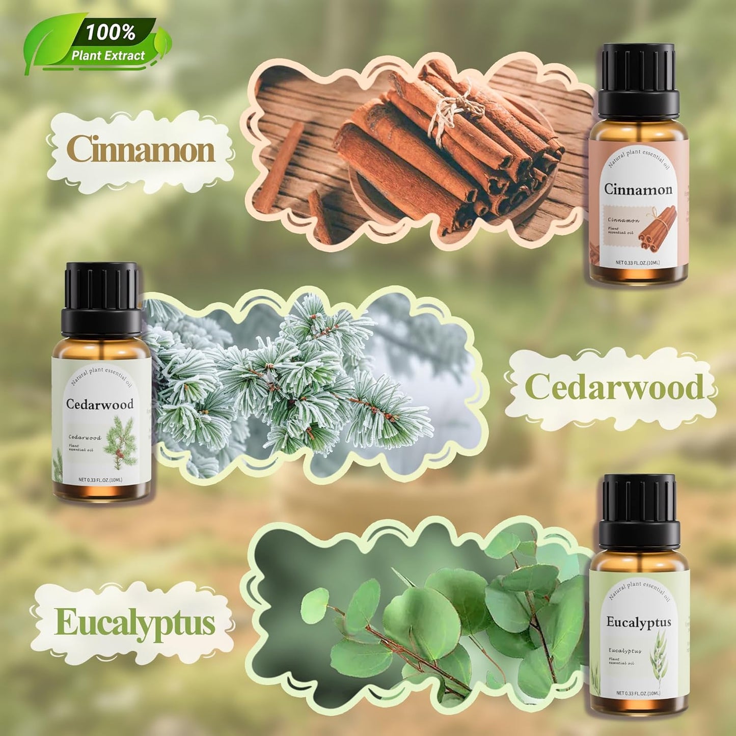 Fashome Grounding Woody & Earthy Essential Oil Blends for Diffuser & DIY - 6-Pack Plant-Based Scent Oils, Includes Cedarwood, Cinnamon, Citronella, Eucalyptus, Bergamot, Grapefruit - 10ml Each/60ml