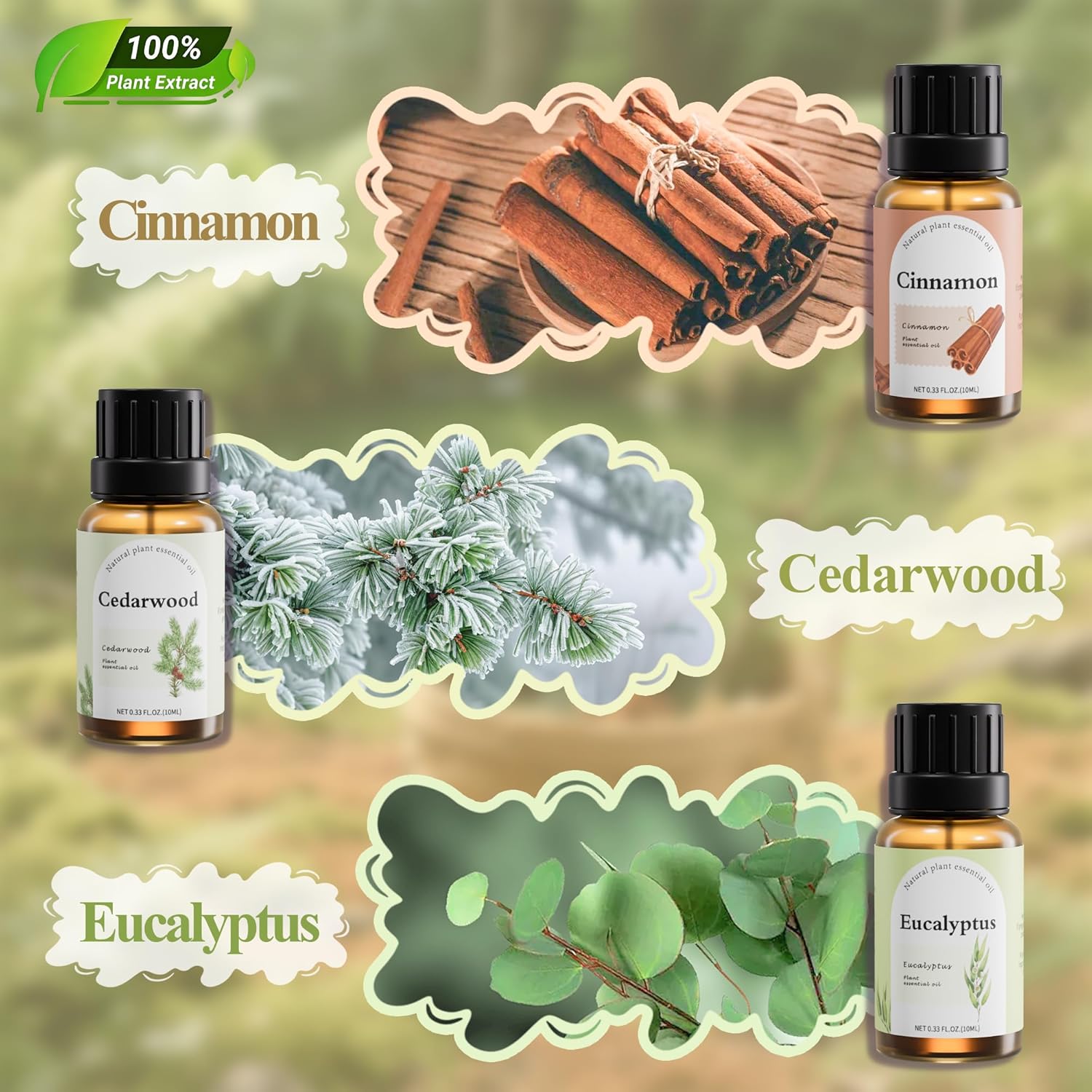 Fashome Grounding Woody & Earthy Essential Oil Blends for Diffuser & DIY - 6-Pack Plant-Based Scent Oils, Includes Cedarwood, Cinnamon, Citronella, Eucalyptus, Bergamot, Grapefruit - 10ml Each/60ml
