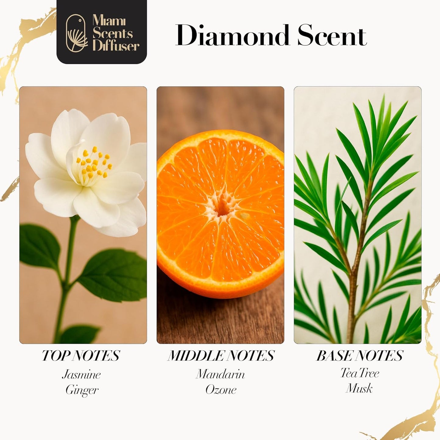 Diamond Touch Essential Oil Refill Luxury Hotel Inspired - Long Lasting Aroma for Home Office Diffuser, 120ml Fresh Blend of Jasmine, Mandarin, Tea Tree and Ginger, Scent for Spa Wellness Aromatherapy