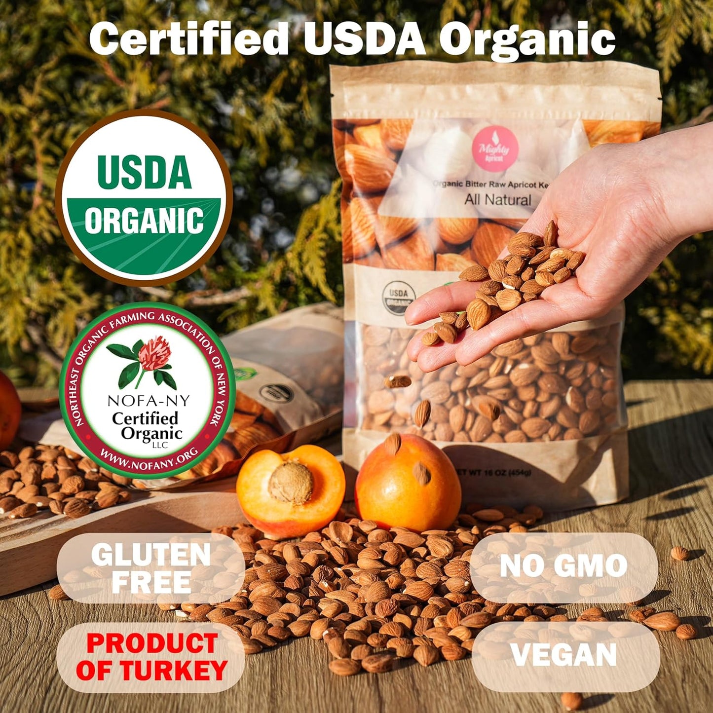 Mighty Apricot USDA Organic Bitter Apricot Kernels(1LB) 16oz, Natural Raw Bitter Apricot Seeds, Vegan, Non-GMO, Gluten Free, Great source of Vitamin B17 and B15, Maximum 3 Kernels/day