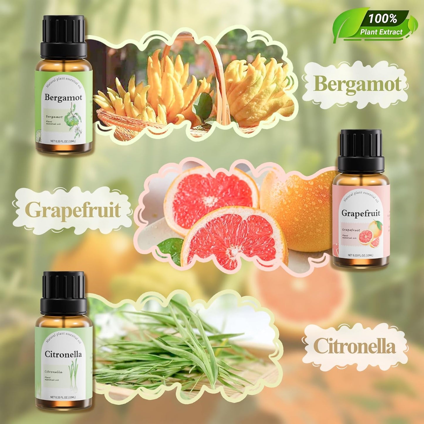 Fashome Grounding Woody & Earthy Essential Oil Blends for Diffuser & DIY - 6-Pack Plant-Based Scent Oils, Includes Cedarwood, Cinnamon, Citronella, Eucalyptus, Bergamot, Grapefruit - 10ml Each/60ml