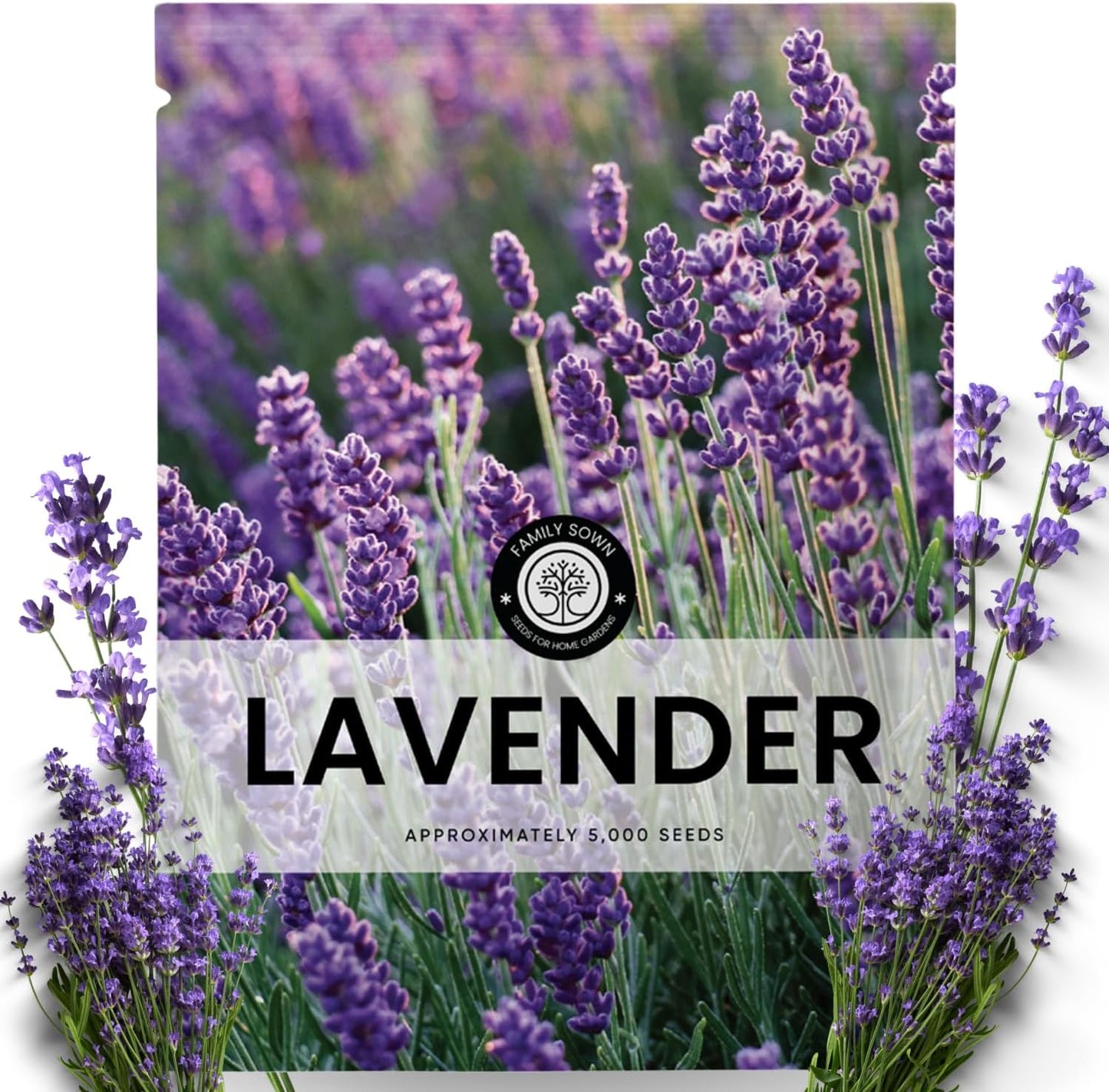 Lavender – 5,000 Seeds for Planting – 2026 Season – 5 Gram Pouch