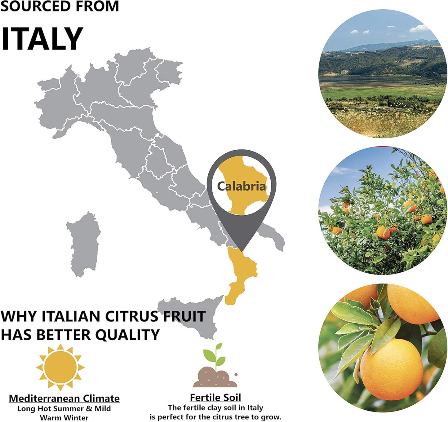 Sweet Orange Essential Oil 1 oz (30ml) -100% Natural and Pure Therapeutic Grade-Premium Quality Italian Orange Oil