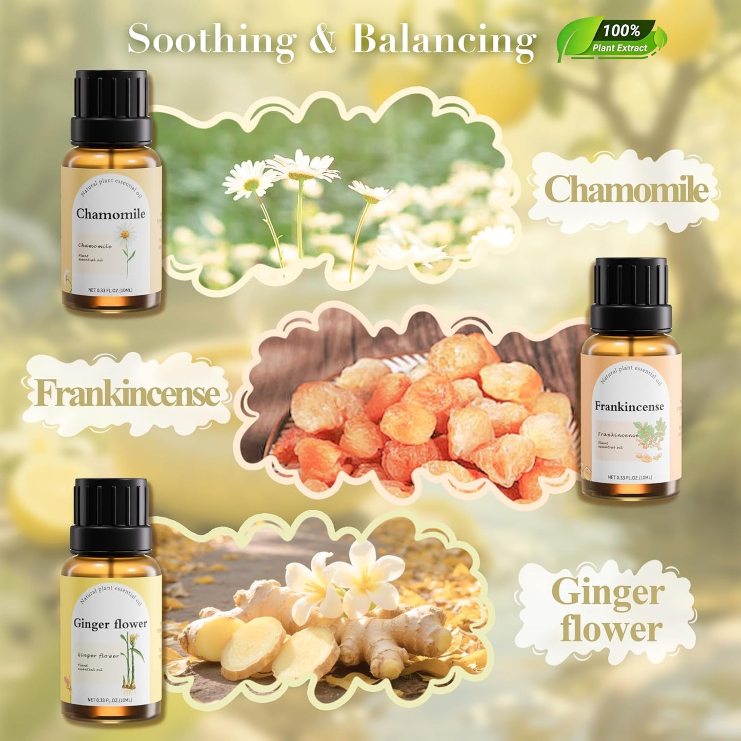 Fashome Essential Oil Blends Set for Diffuser - Energizing Citrus & Fresh Scent - Plant-Based Aromatherapy Oils for Home & DIY 6-Pack x 10ml (Peppermint, Lemon, Ginger,Orange, Magnolia, Chamomile)