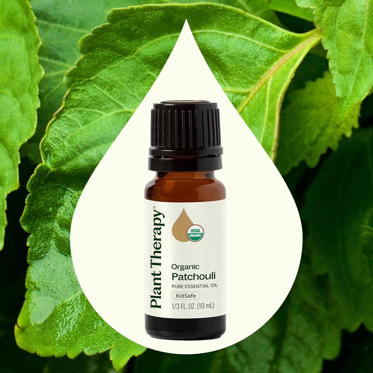 Plant Therapy Organic Patchouli Essential Oil 10 mL (1/3 oz) 100% Pure, Undiluted, Therapeutic Grade
