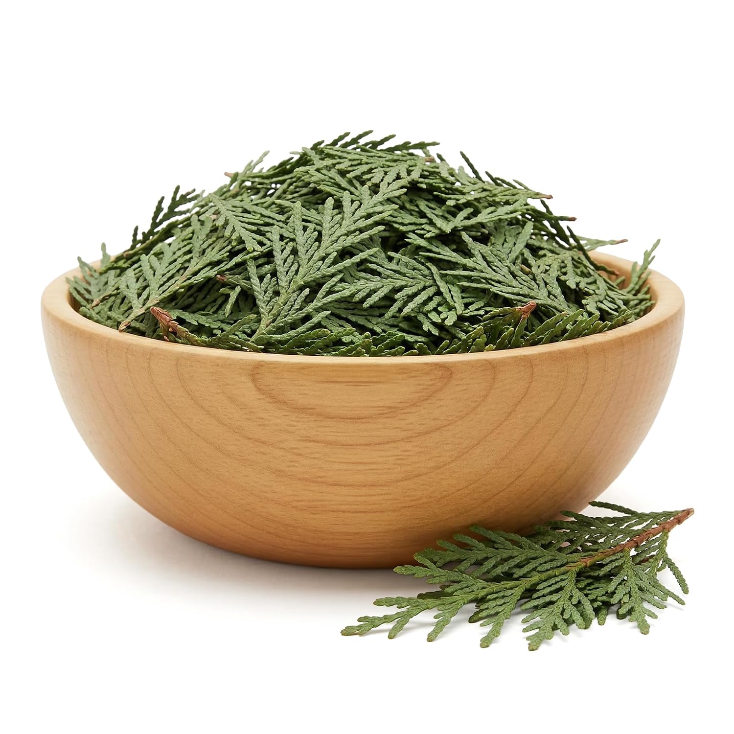 NY Spice Shop Natural Cedar Leaf Whole - 2 Ounce Evergreen Leaves - Raw Aromatic Botanical - Thuja occidentalis - Cut & Dried Herb - Bulk Herbal Ingredient for Crafting Incense or Potpourri