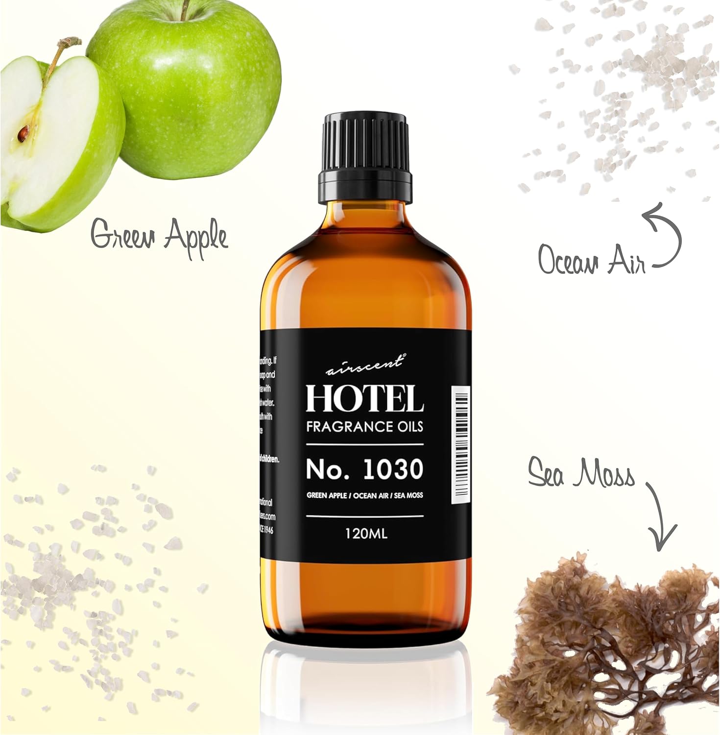 AirScent Hotel Diffuser Oil No. 1030 Inspired by The Beach House Hotel Scent - Fragrance Oil for Ultrasonic and Waterless Diffusers and Crafting - 10 mL, 0.34 fl oz Glass Bottle with Dropper