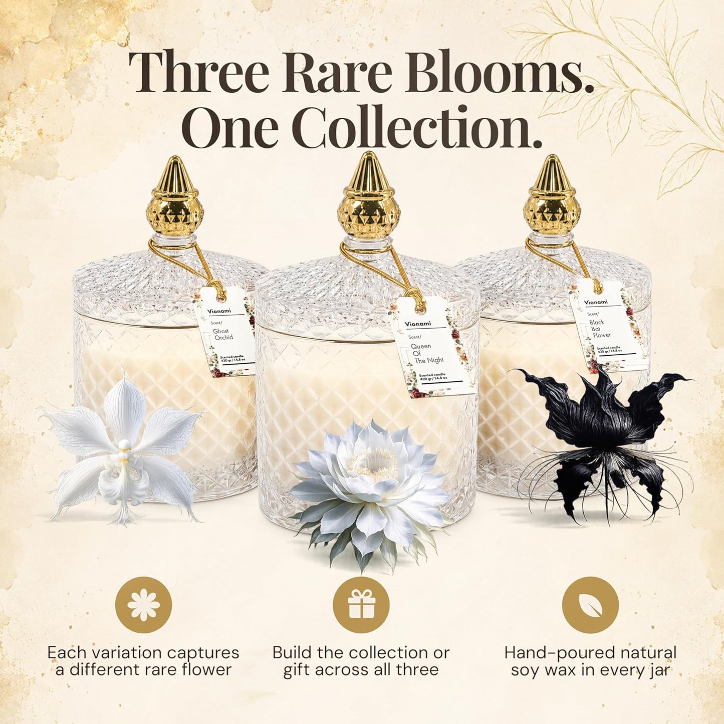 VIONAMI Luxury Scented Candle Gift – Queen of The Night Rare Flower Fragrance in Elegant Glass Jar, Decorative Soy Candles Gifts for Women, Long-Lasting 80 Hr, 14.8 oz, Luxury Candles for Women