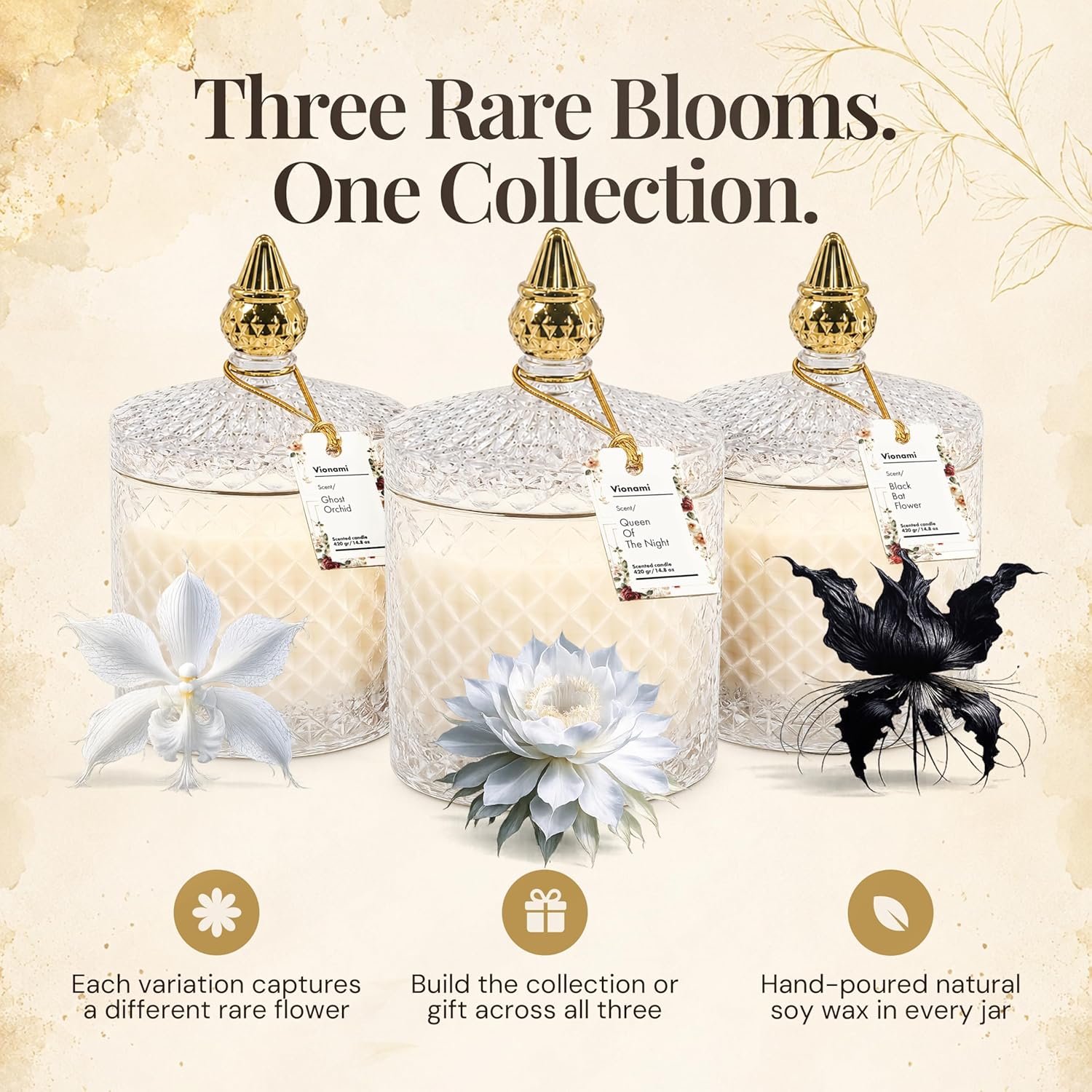 VIONAMI Luxury Scented Candle Gift – Queen of The Night Rare Flower Fragrance in Elegant Glass Jar, Decorative Soy Candles Gifts for Women, Long-Lasting 80 Hr, 14.8 oz, Luxury Candles for Women