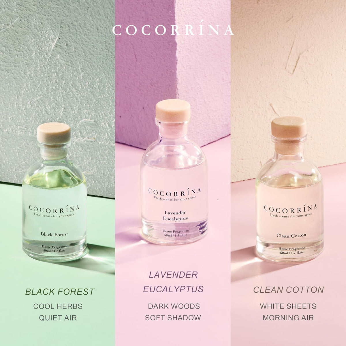 COCORRÍNA Reed Diffuser Set of 3 with Dried Eucalyptus for Home & Office