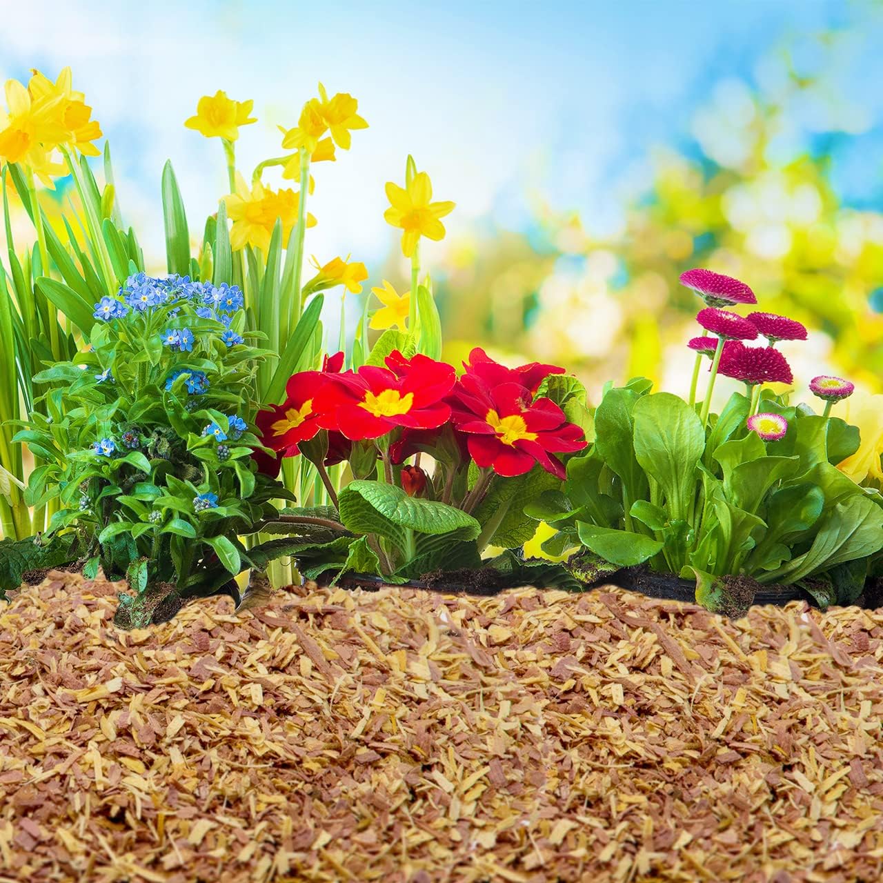 100% Natural Cedar Chips | Mulch | Great for Outdoors or Indoor Potted Plants | Dog Bedding | Pleasant Earthy Smell 4 Quarts