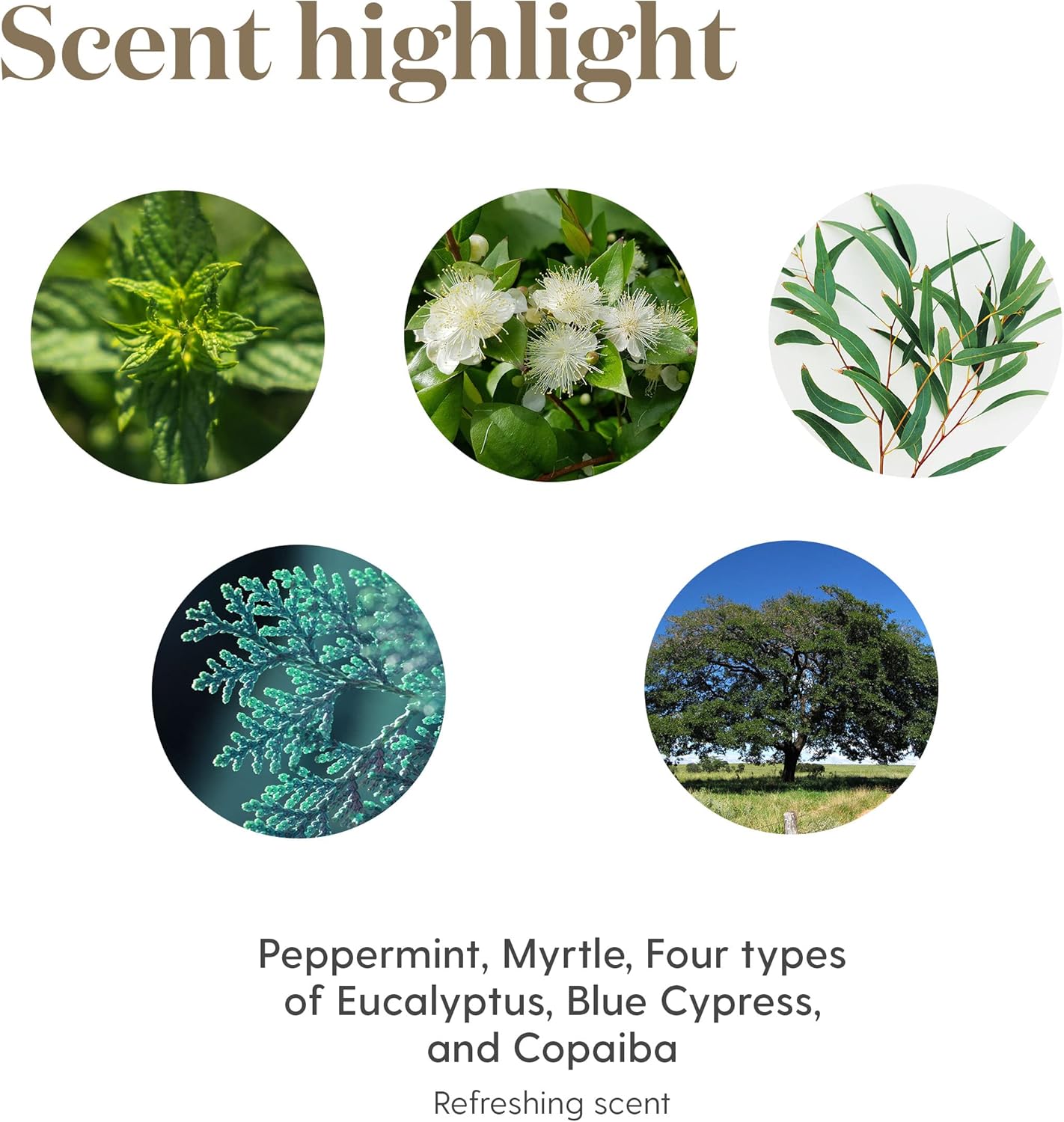 Young Living Breathe Again Essential Oil Roll On - 10ml for Easy Relief - Combines Copaiba, Myrtle, and Peppermint with Four Different Types of Eucalyptus