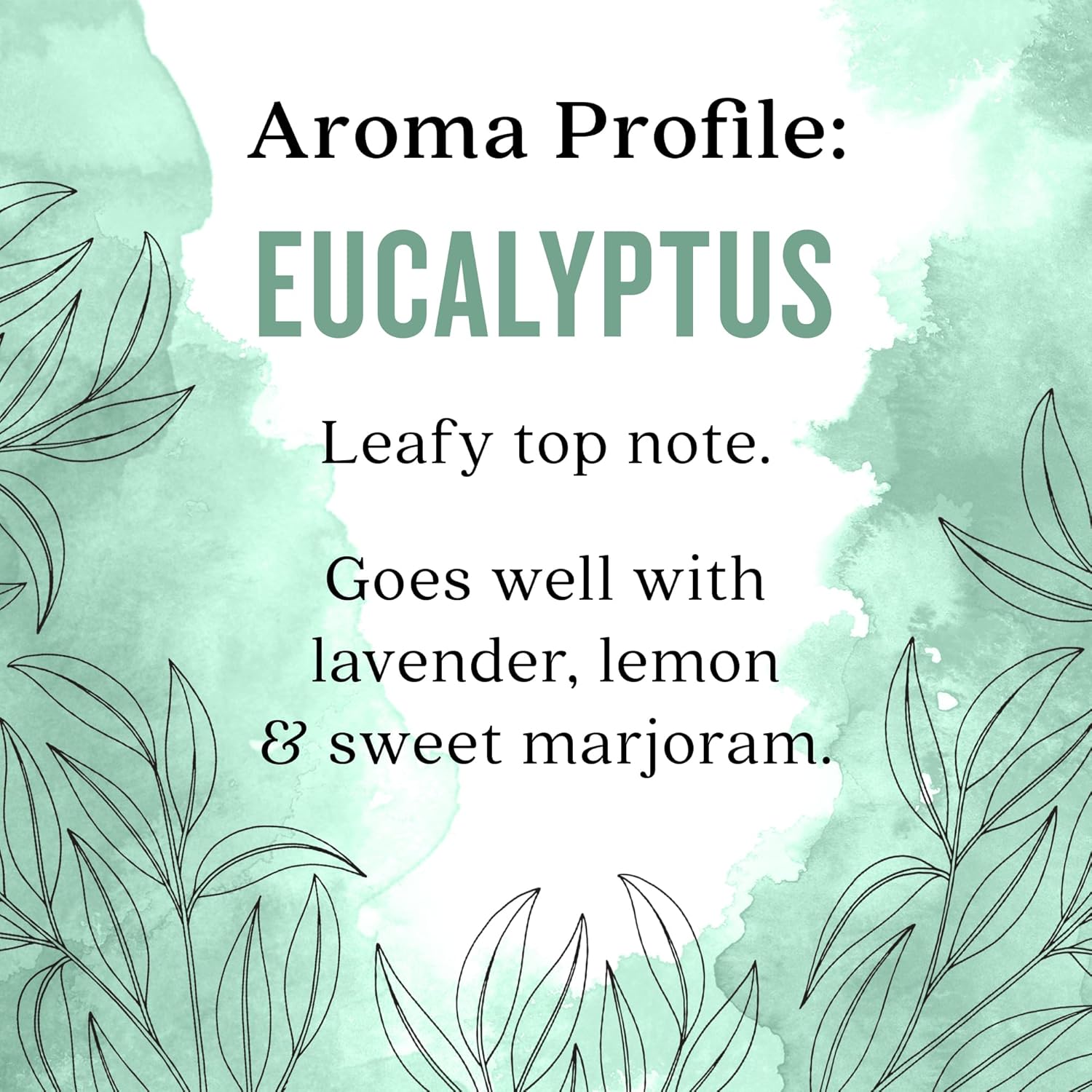 Aura Cacia Eucalyptus (globulus) Essential Oil 4 fl. oz.