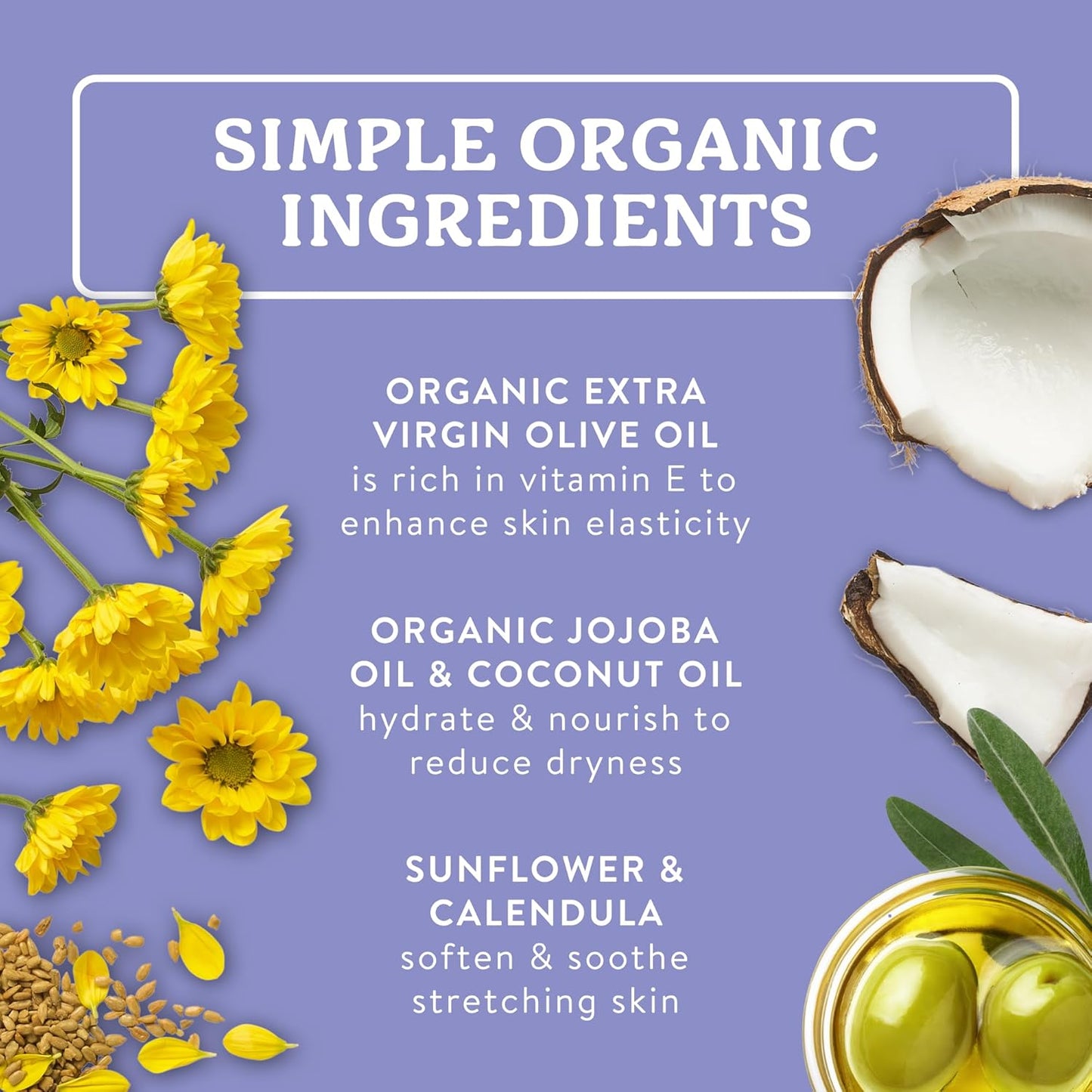 Badger Organic Pregnant Belly Oil - Jojoba & Coconut - 4 oz.