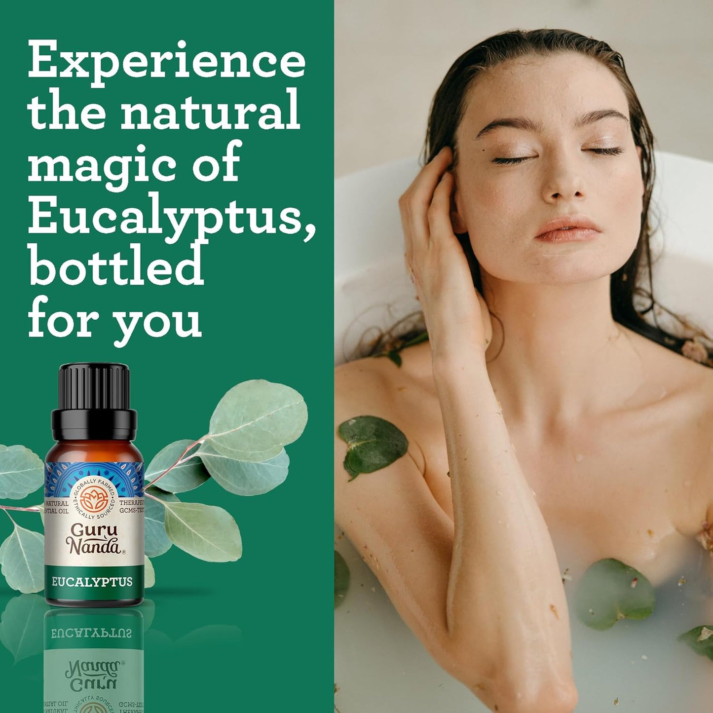 GuruNanda Eucalyptus Essential Oil -100% Pure, Natural and Undiluted Aromatherapy Oil for Diffusers - Aids in Congestion Relief - Perfect for Massages (0.5 Fl Oz) (Pack of 2)