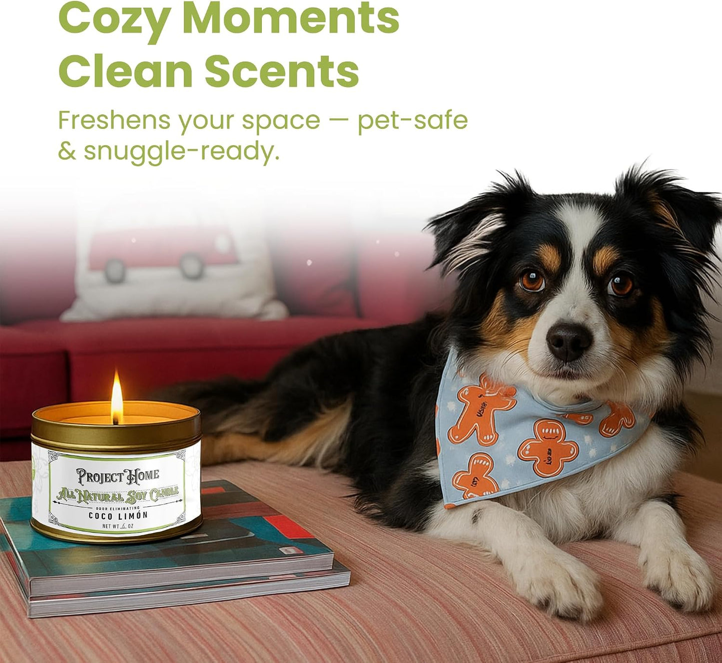 Coco Limone Pet Odor Eliminator Candle, Coconut Lime Scent, 6oz, Eco-Friendly Soy Wax, Made in USA, Pet-Safe, Natural Odor Removal Candle, Non-Toxic, Phthalate-Free, Cotton Wick