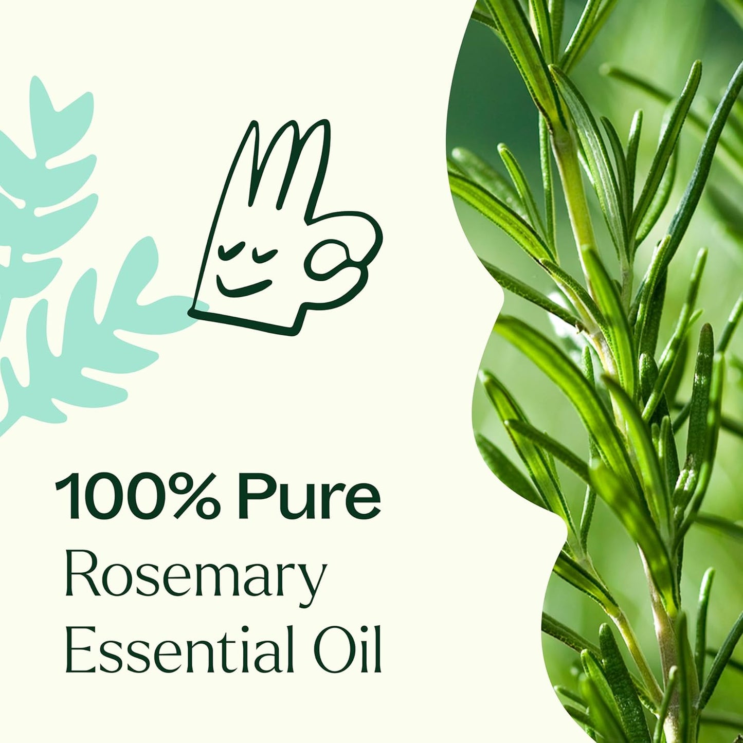 Plant Therapy Rosemary Essential Oil for Hair Growth, 30 mL (1 oz), 100% Pure and Undiluted, Natural Aromatherapy for Diffuser & Rosemary Oil for Hair & Scalp Health
