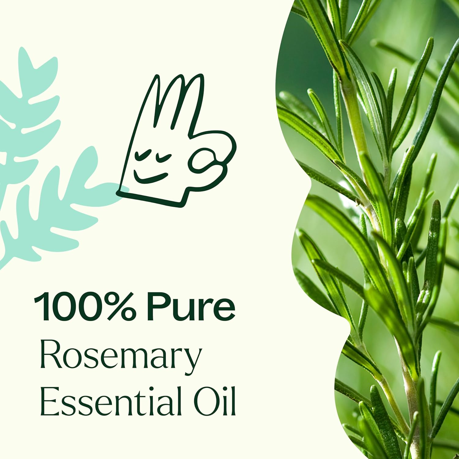 Plant Therapy Rosemary Essential Oil for Hair Growth, 30 mL (1 oz), 100% Pure and Undiluted, Natural Aromatherapy for Diffuser & Rosemary Oil for Hair & Scalp Health