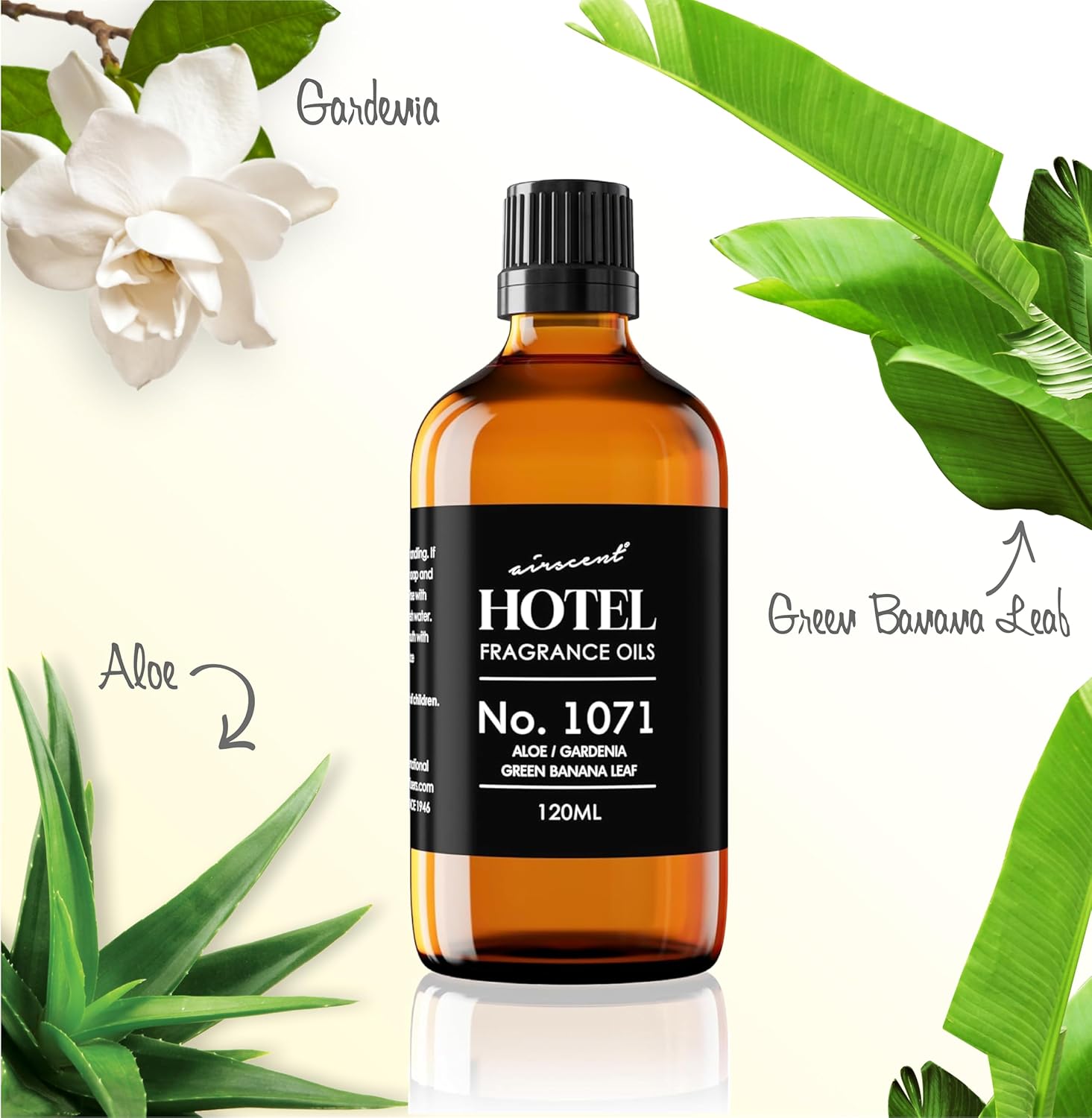 AirScent Hotel Diffuser Oil No. 1071 - Aloe, Gardenia, Green Banana Leaf - Premium Fragrance Oil for Ultrasonic and Waterless Diffusers and Crafting - 10 mL, 0.34 fl oz Glass Dropper Bottle