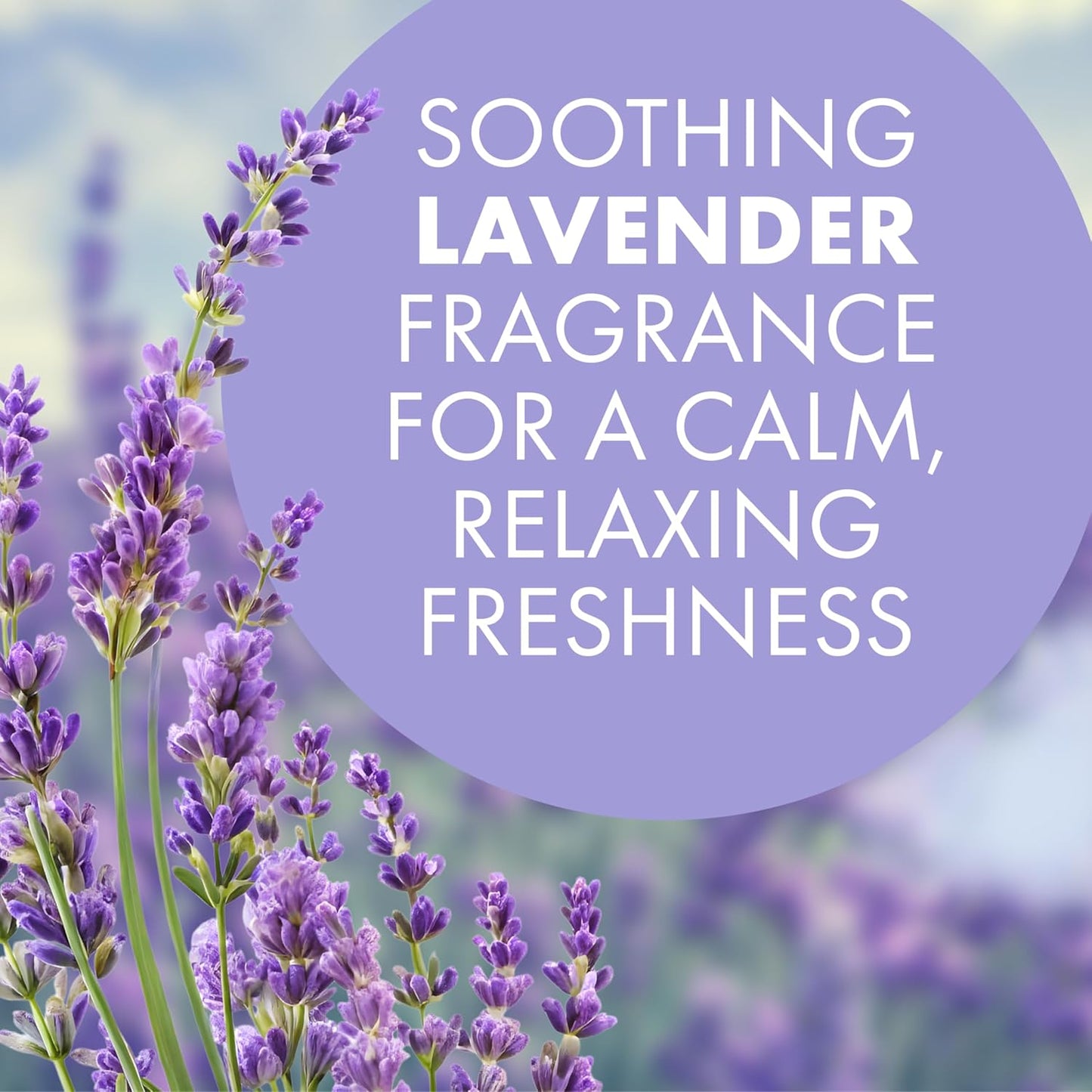 Arm & Hammer OdorBusterz ShapeMATE™, Lavender Flower, 4 Count – Decorative Odor Eliminator for Small Spaces