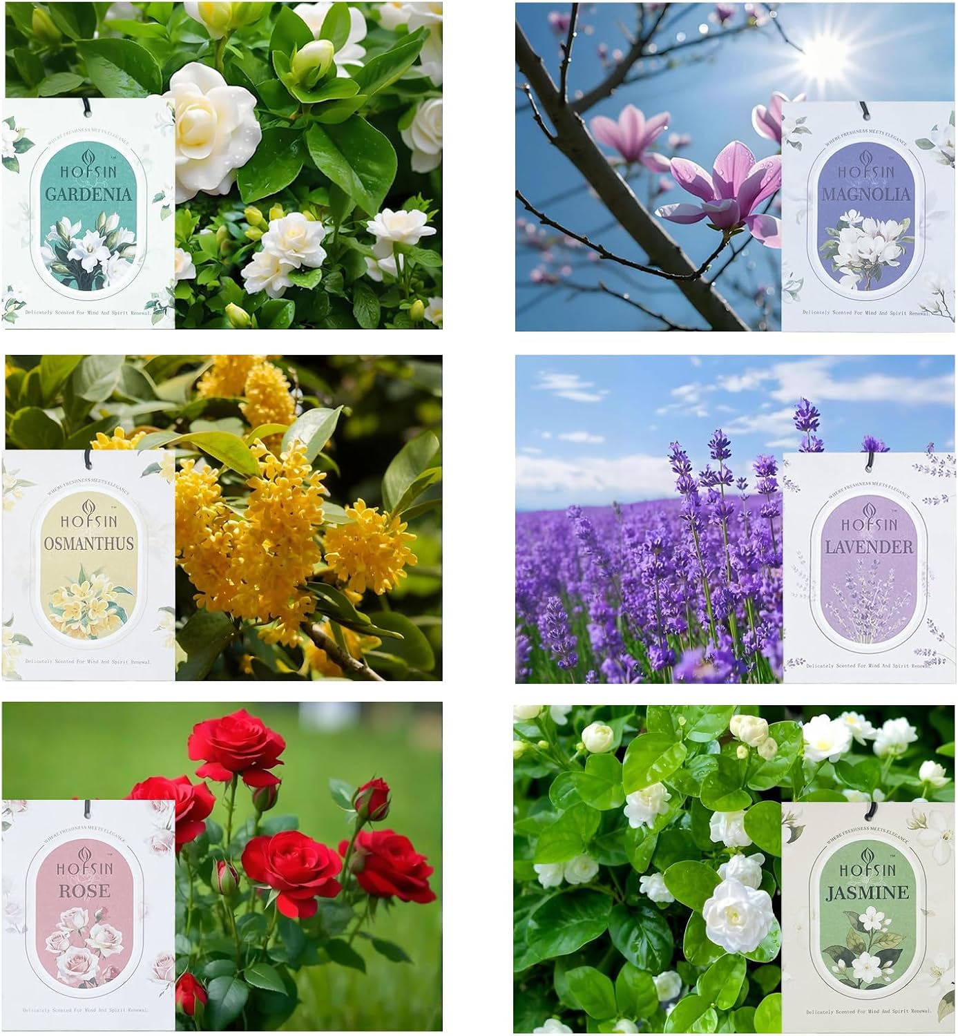 12 Packs Lavender Scented Sachets Air Freshener for Drawer and Closet, Long-Lasting Sachets Bags Drawer deodorizers Fresh Scents, Home Fragrance (Floral 6 Scent)