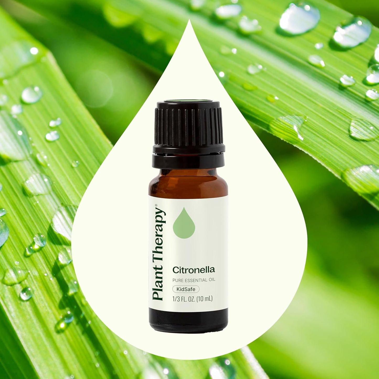 Plant Therapy Citronella Essential Oil 10 mL (1/3 oz) 100% Pure, Undiluted, Citronella Oil for Aromatherapy, Diffuser, Candle Making, Skin Care, Outdoors