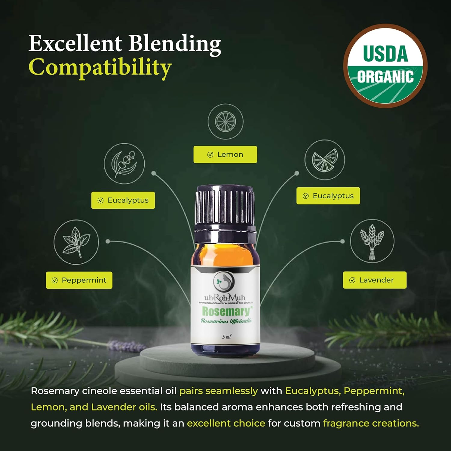 Organic Rosemary Essential Oil Chemotype Cineole | 100% Pure Steam Distilled Rosemary Oil | Fresh Herbaceous Aroma for Diffuser Aromatherapy, Massage Blends & DIY Recipes | Spain – 5ml