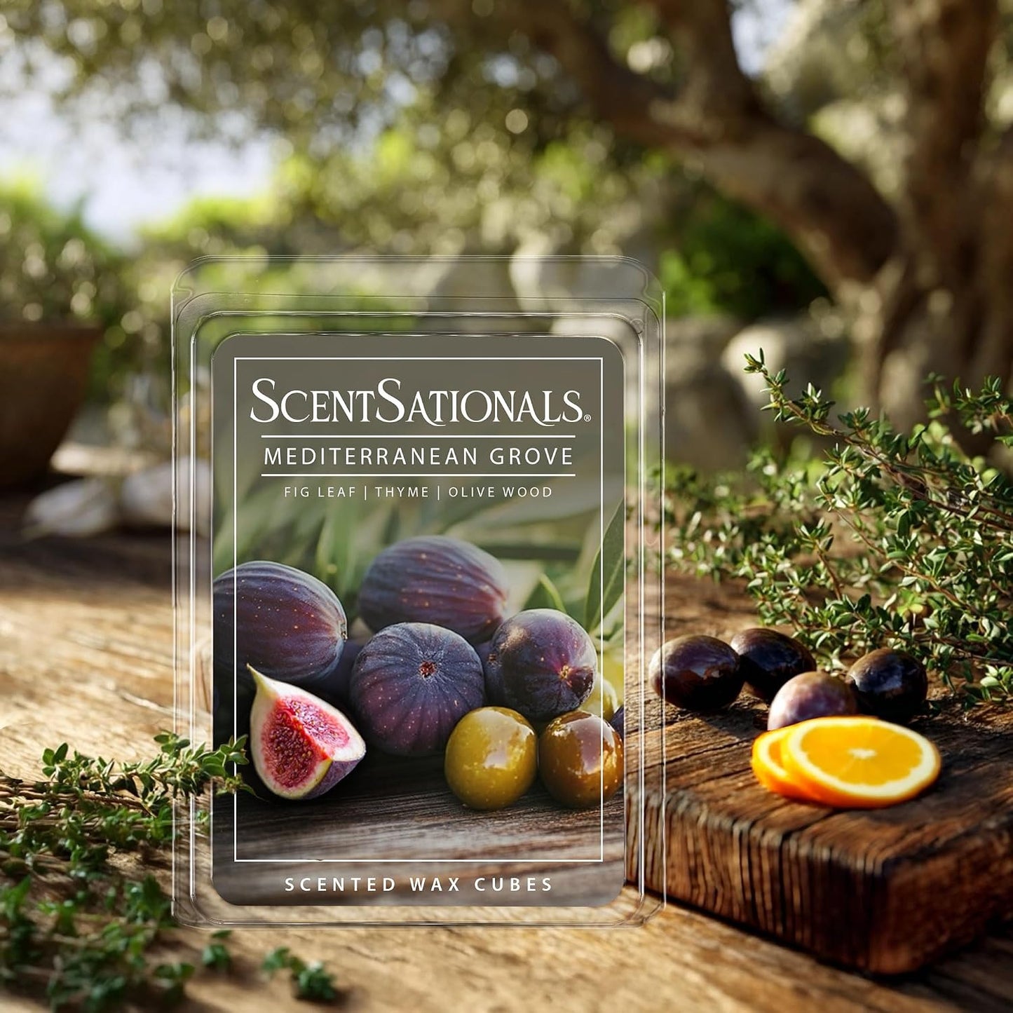 Scentsationals Mediterranean Grove Scented Wax Melts - Fig Leaf, Wild Thyme, & Olive Wood, 10oz (24 Cubes)