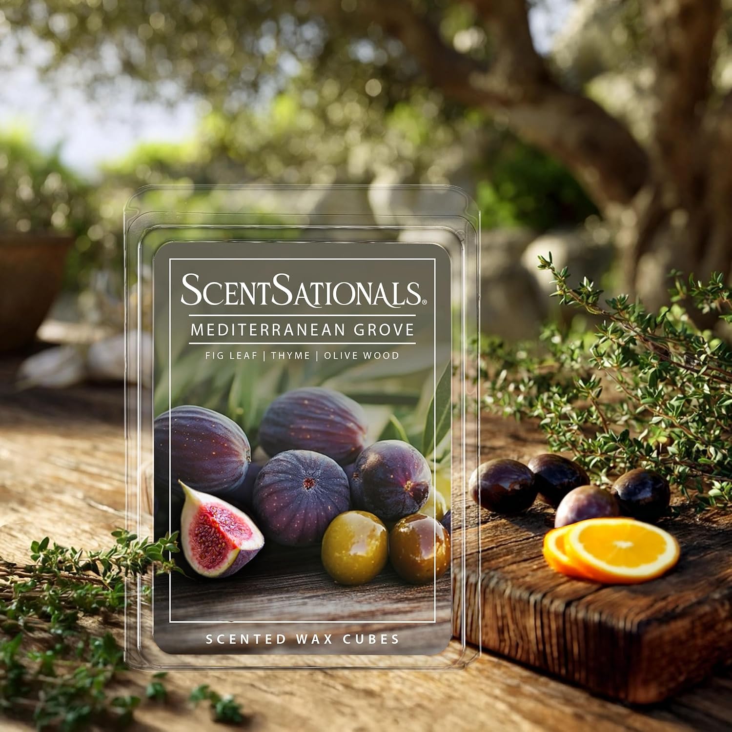 Scentsationals Mediterranean Grove Scented Wax Melts - Fig Leaf, Wild Thyme, & Olive Wood, 10oz (24 Cubes)