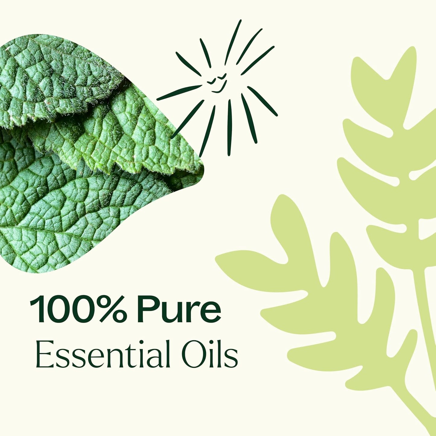 Plant Therapy Pain Support Essential Oil Roll On Blend Set, 10 mL (1/3 oz) Each of Ache Away, Rapid Relief & Tension Relief, Pure, Pre-Diluted, Essential Oil Blends