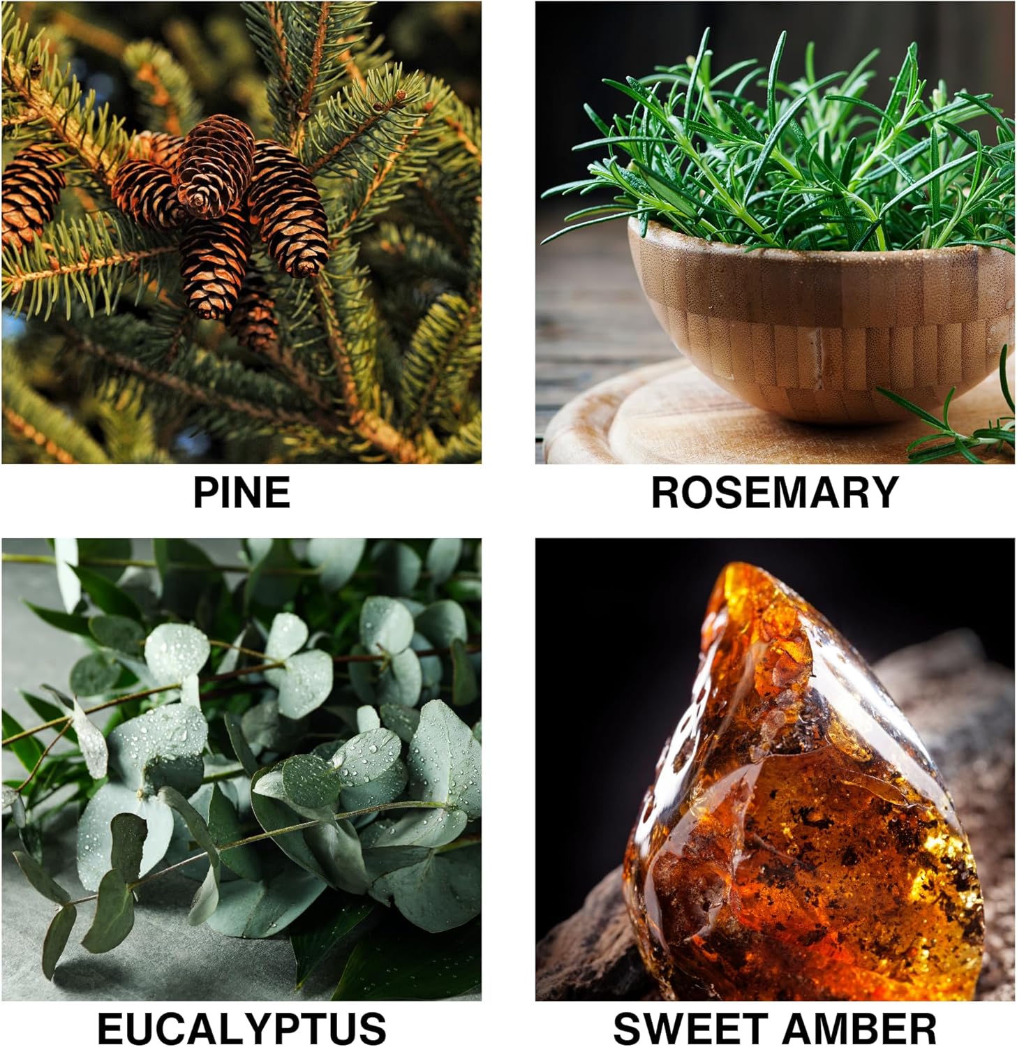 Misty Pines Scent Reed Diffuser – Luxury Reed Diffuser with Pine, Eucalyptus & Amber – Long-Lasting, Natural Aromatherapy Scent for Home, Office, or Bedroom – 50ml