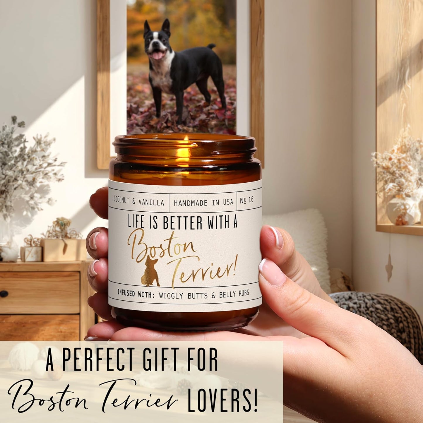 Boston Terrier Gifts for Women - 'Life is Better with a Boston Terrier' Candle, w/Vanilla, Coconut & Citrus - Infused w/Essential Oils I Boston Terrier Decor I 50Hr Burn, USA Made