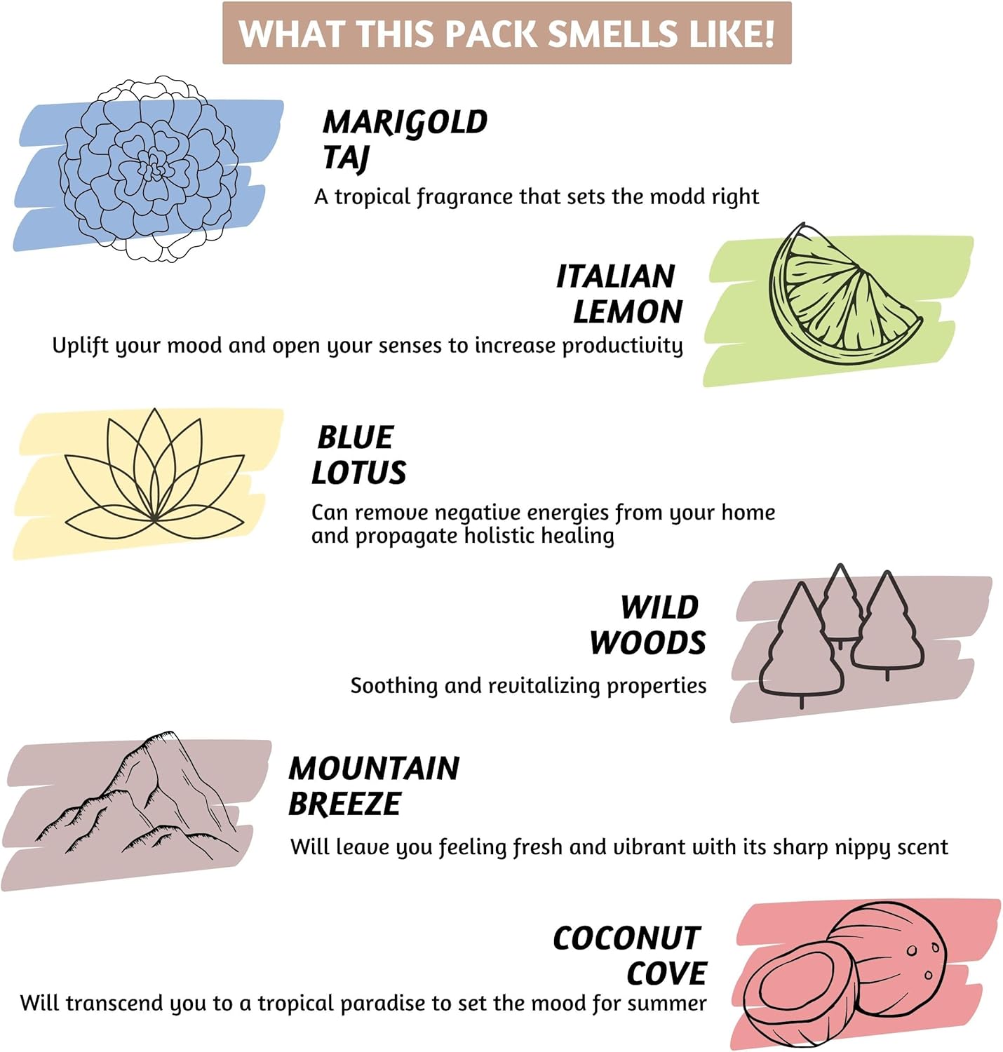 Folkulture Incense Sticks (240 Sticks) | Set of 12 Premium Incense Sticks Variety Pack Aromatherapy Gifts | No Charcoal, Organic, Non Toxic, 45 Mins, Long Burning Vanilla, Caramel, Rose Insence-Sticks