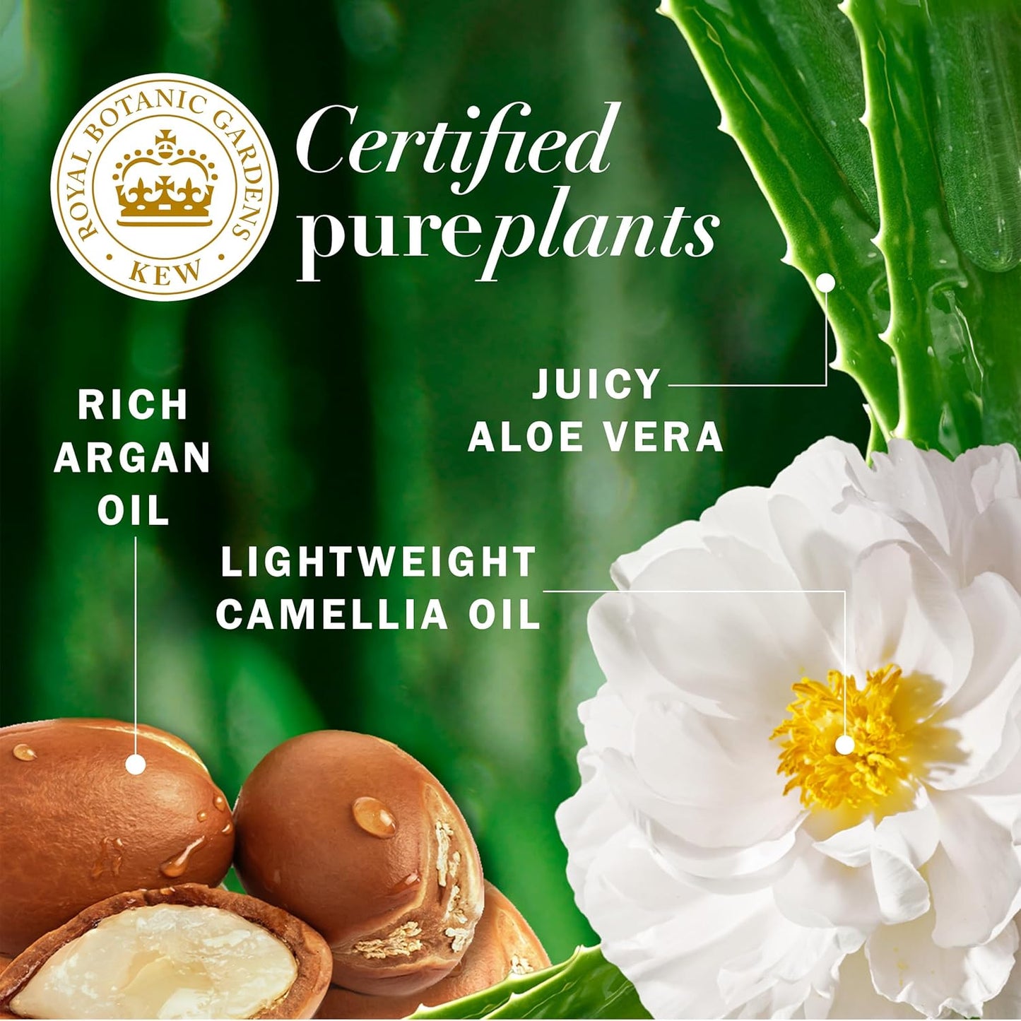 Herbal Essences Argan Oil Paraben Free Conditioner, Hair Repair, 20.2 fl oz, with Certified Camellia Oil and Aloe Vera, For All Hair Types, Especially Damaged Hair