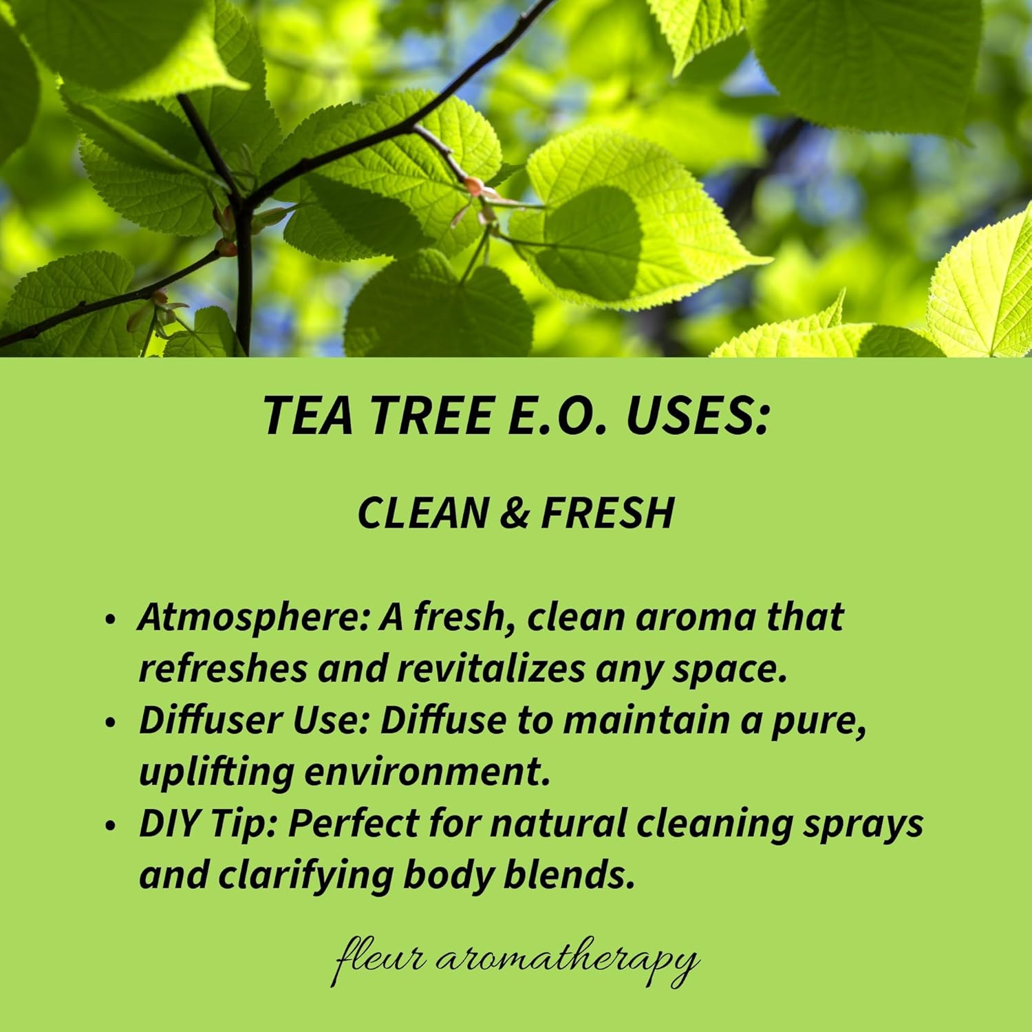 Tea Tree Essential Oil 10ml – 100% Pure Melaleuca alternifolia – Steam Distilled – GC/MS Tested – Fresh, Medicinal & Clarifying Aroma – Professional Clinical Aromatherapy Quality – Fleur Aromatherapy