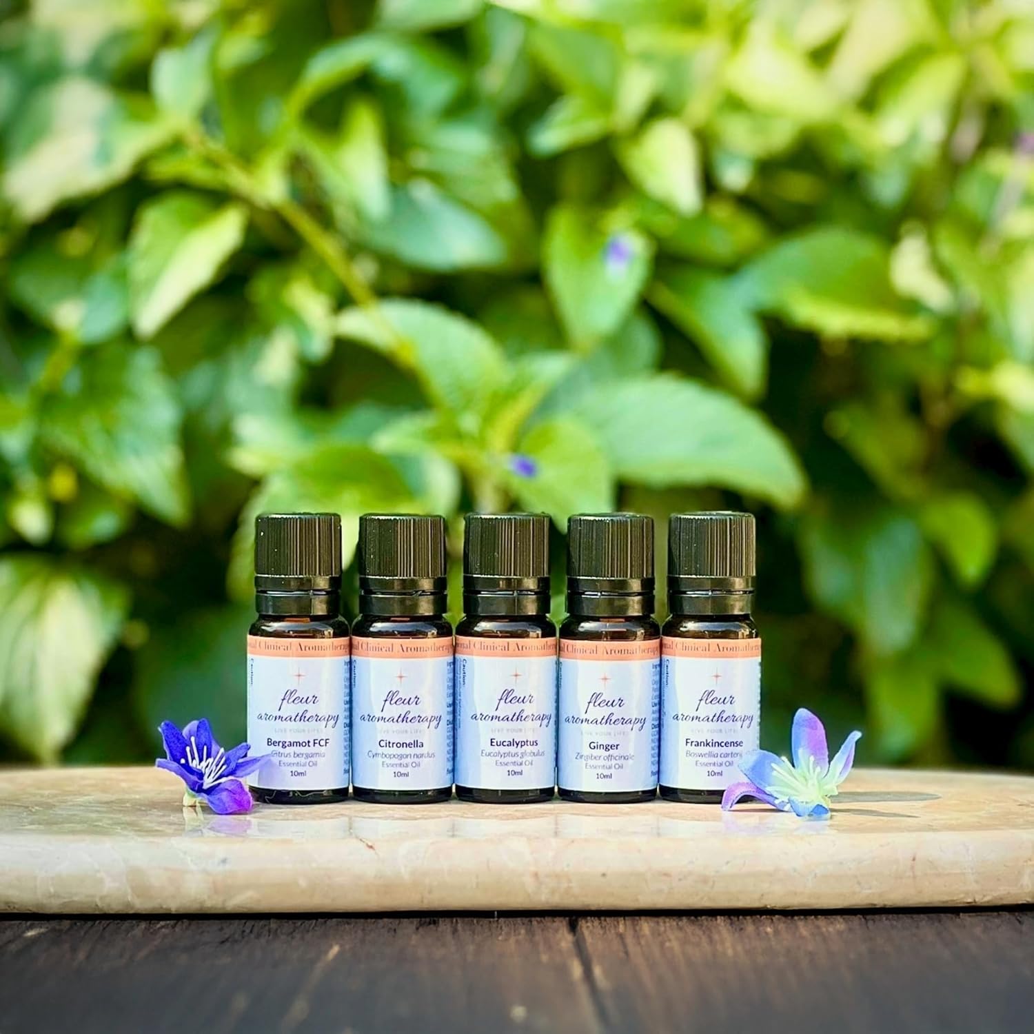 Eucalyptus Essential Oil 10ml – 100% Pure Eucalyptus globulus – Steam Distilled – GC/MS Tested – Clarifying & Fresh Aroma – Professional Clinical Aromatherapy Quality – Fleur Aromatherapy